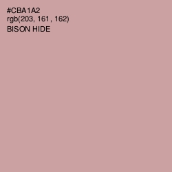 #CBA1A2 - Bison Hide Color Image